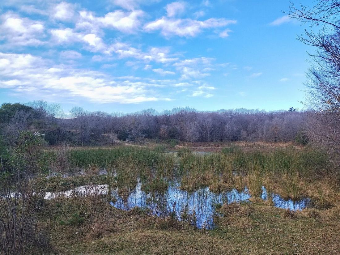 Lagunas y juncos de la reserva ambiental de Villa Rumipal