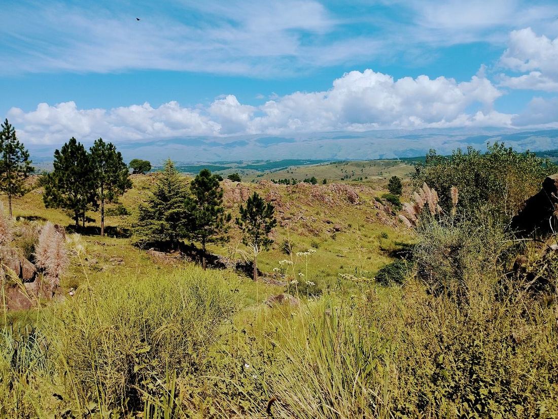 Sierras verdes y pastizales en Villa Yacanto de Calamuchita